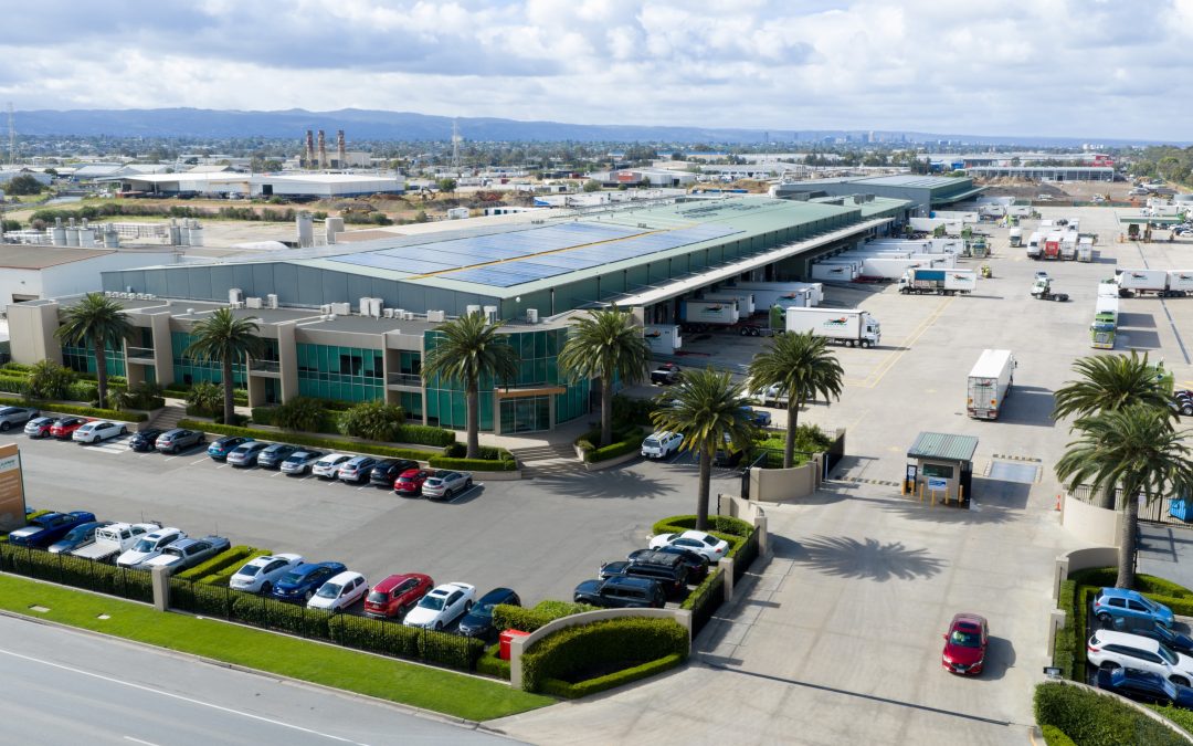 Collins Transport