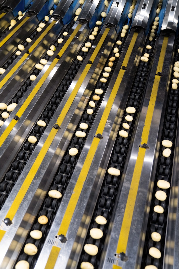 Electric-Solutions_Mitolo-Group_DSC00655