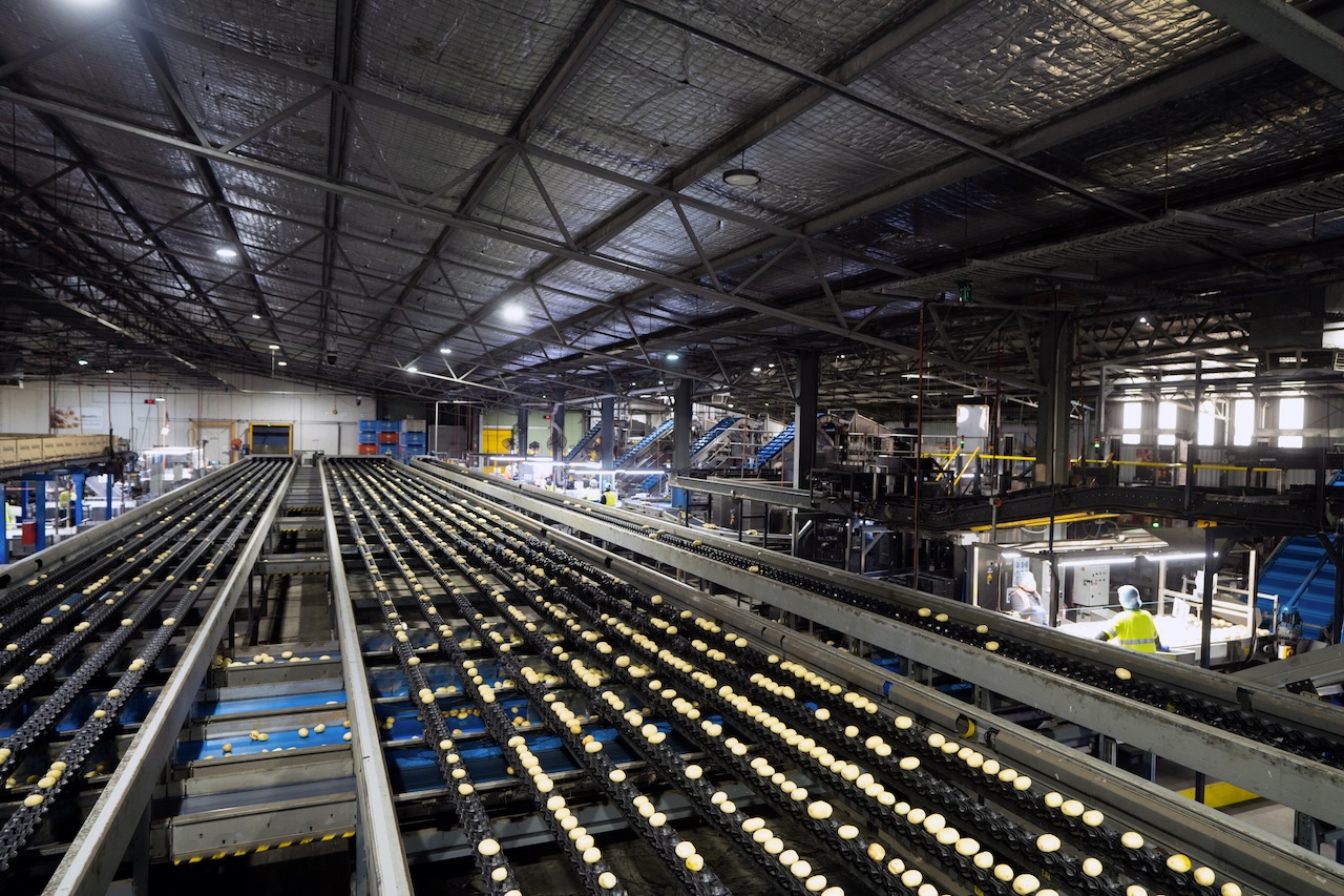 Electric-Solutions_Mitolo-Group_DSC00680